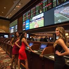 real bet app real bet app